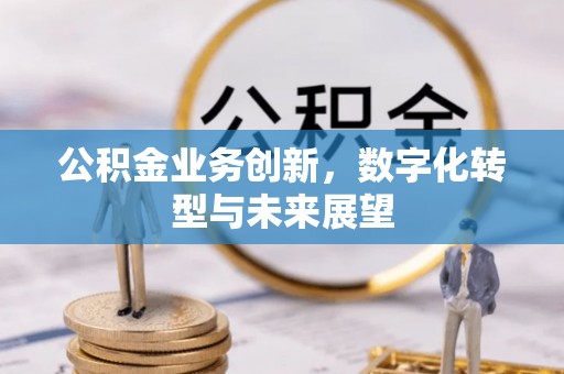 鄯善公积金业务创新，数字化转型与未来展望